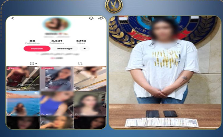 ضبط فتاة البساتين بعد نشر فيديوهات خادشة للحياء لتحقيق أرباح من المشاهدات